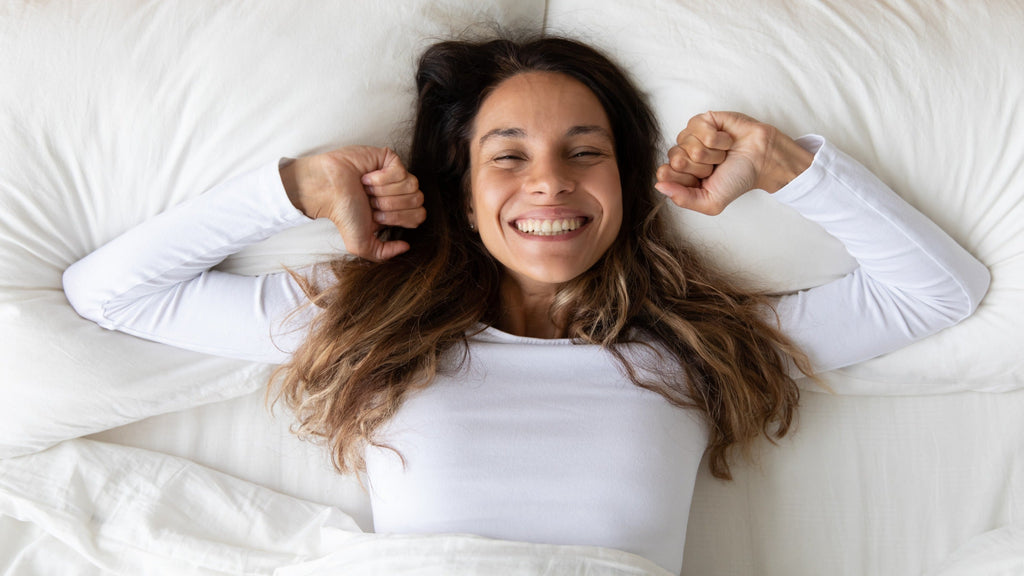 Allergy-Free Sleep