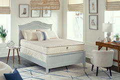 Healthy Child Organic Latex Mattress - PlushBeds